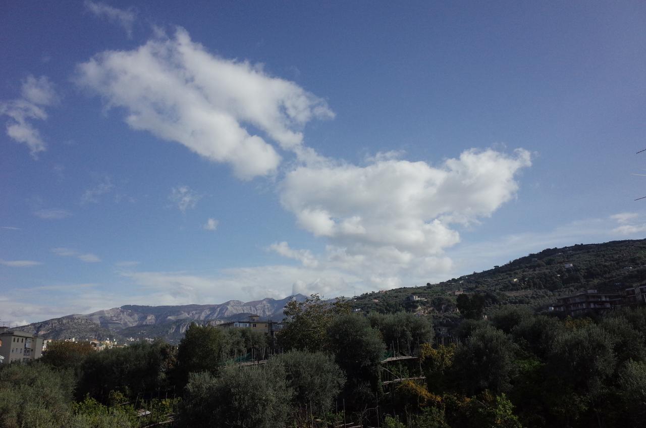 I Colori Di Sorrento Panzió Kültér fotó